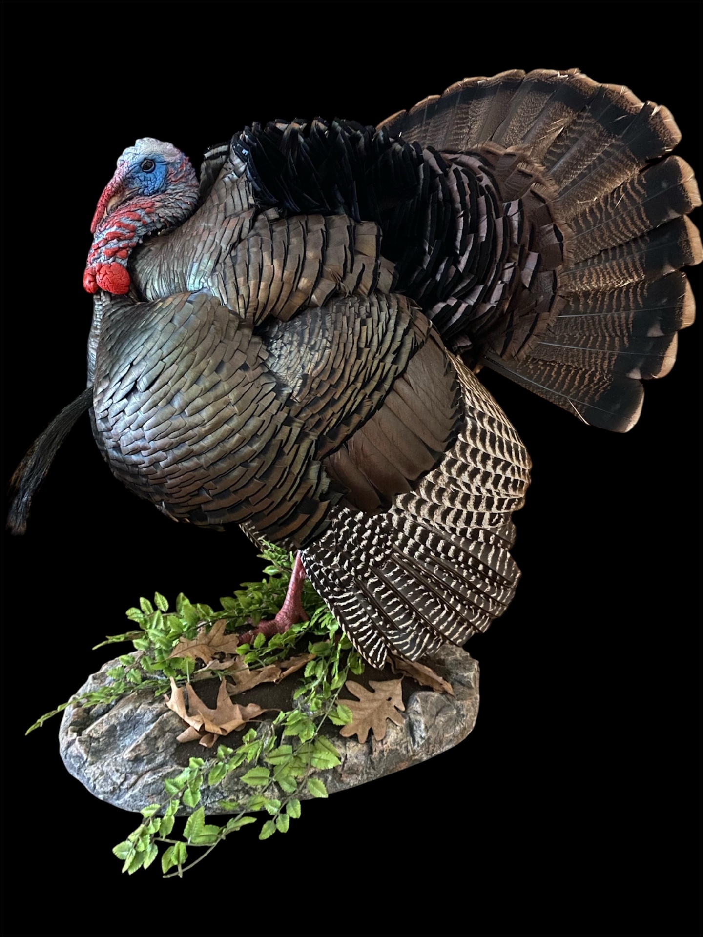 Custom Habitats — wild turkey taxidermy mount